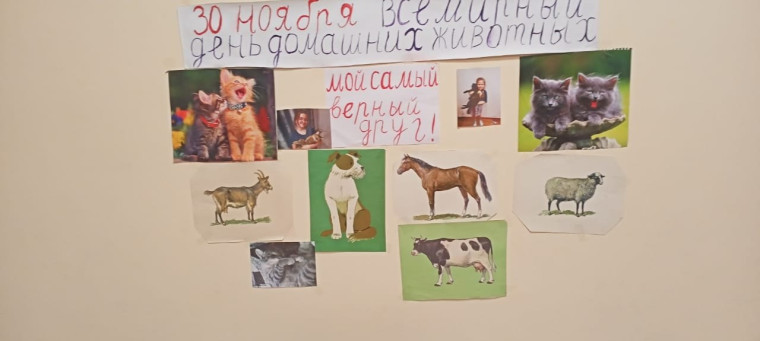 "Мой домашний питомец".